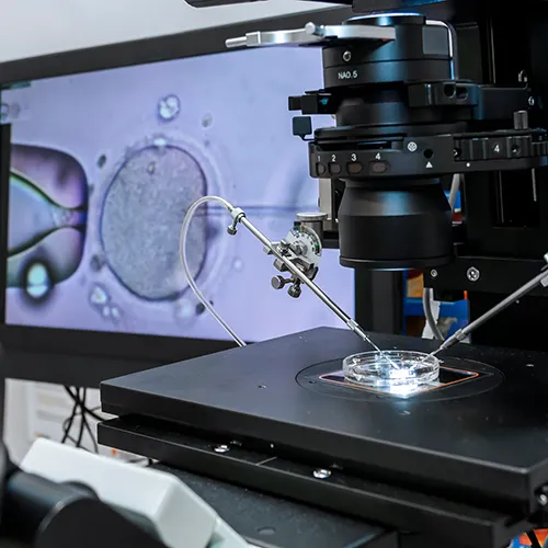 Southern California Fertility Center | Top U.S. IVF Expert Southern California Fertility Center|Top U.S. IVF Expert