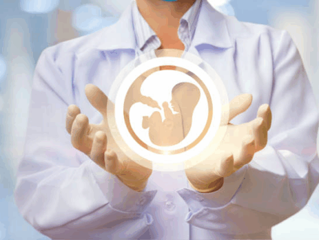 Southern California Fertility Center | What to Expect During IVF Treatment in San Diego IVF Treatment