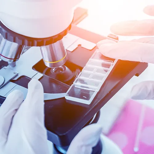 Southern California Fertility Center – PGT 03 Southern California Fertility Center - PGT 03