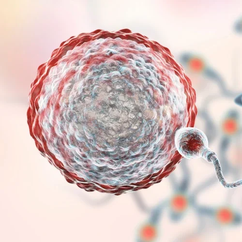 Tubal Reversal Surgery 2 Tubal Reversal Surgery 2